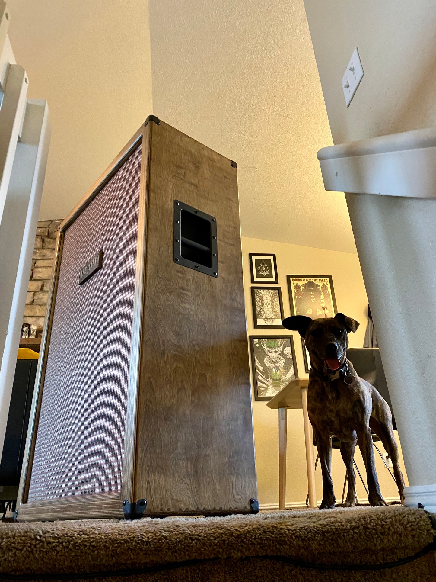 6x12 Guitar Speaker Cabinet